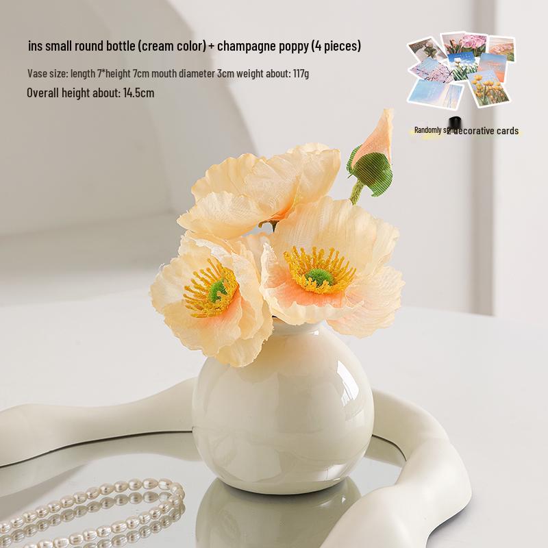 Small Ceramic Desktop Hydroponic Vase for Pothos - Simple Decorative Ornament for Office