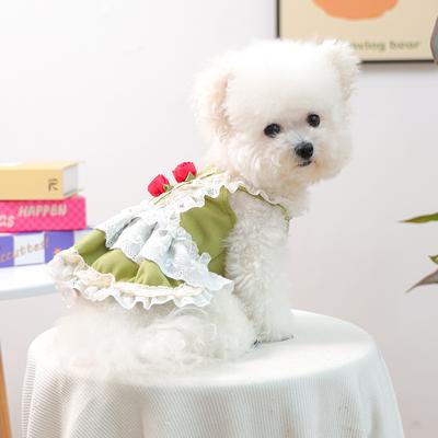 Bekleidung & Schuhe – Hundekleider