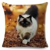 Funny Cute Cat Cushion Cover Decor Lovely Pet Animal Print Pillowcase Polyester Throw  Pillow Case for Sofa Home Car 45x45cm