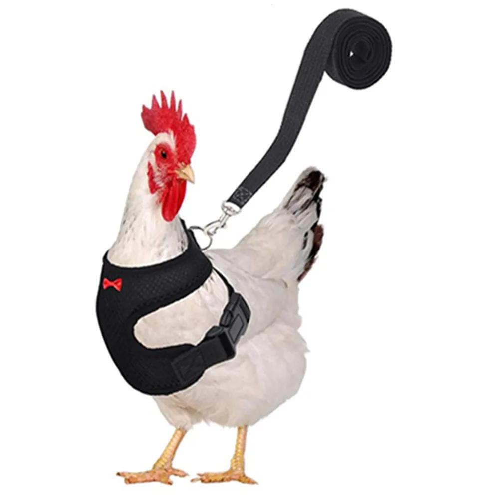 1 Pcs Fashion Chicken Duck Vest Hen Belt Pet Harness Matching Collars Bow Comfortable Leads Breathable Poultry Supplies