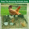 40 cm x 5 m Hühnerdrahtzaunrolle, grünes Gartenzaunnetz, Kunststoffzaunnetz, Geflügelzuchtnetz, Gartenbalkon
