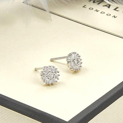PAULBRIAL [SILVER] PYSE0138 (WG) Gener Earrings