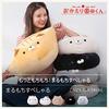Koizumi Lifetex Welcome Back Marumochi Special Cushion Co., Ltd. Sonoda-kun Kurobe-kun