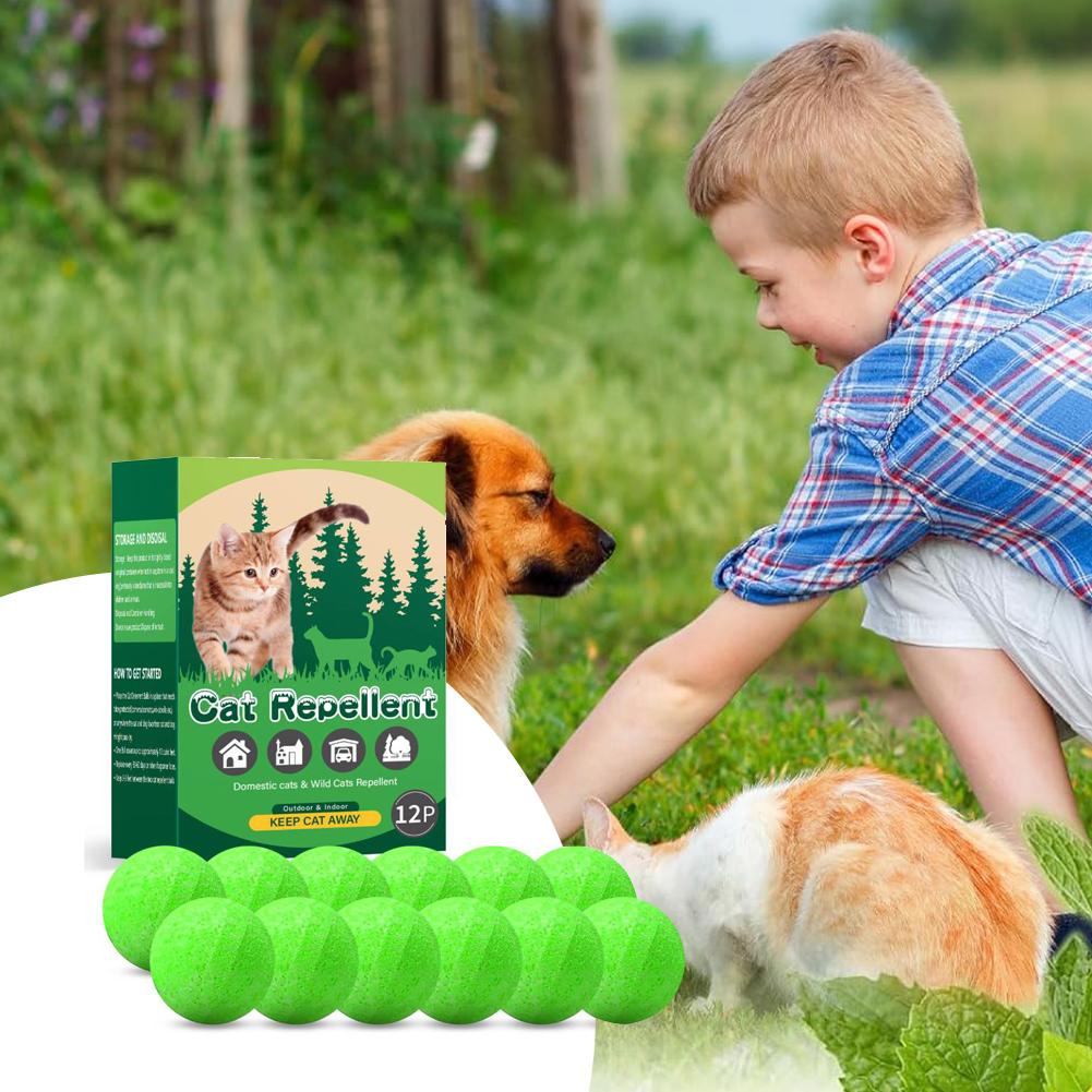 12 Pack Cat Deterrent Outdoor Indoor Natural Peppermint Oil Cat Repellent Keep Cats Out of Yard Lawn Garden