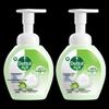 Antibacterial Foaming Hand Wash, Lime S Scent