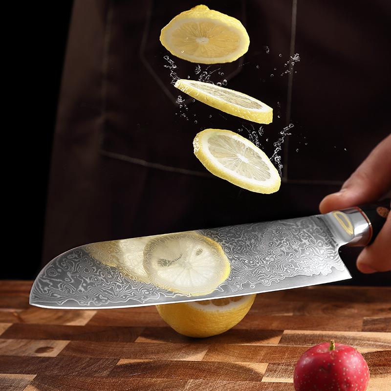 67 Layers Damascus Steel Kitchen Santoku Knife Meat Cleaver Knife Vegetable Cutter Slicer