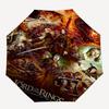 1pc Lord of the Rings: Fellowship Umbrella with Plastic Handle,Suitable for All Seasons Travel Outdoor Multi-functional UmbrellaDCS258