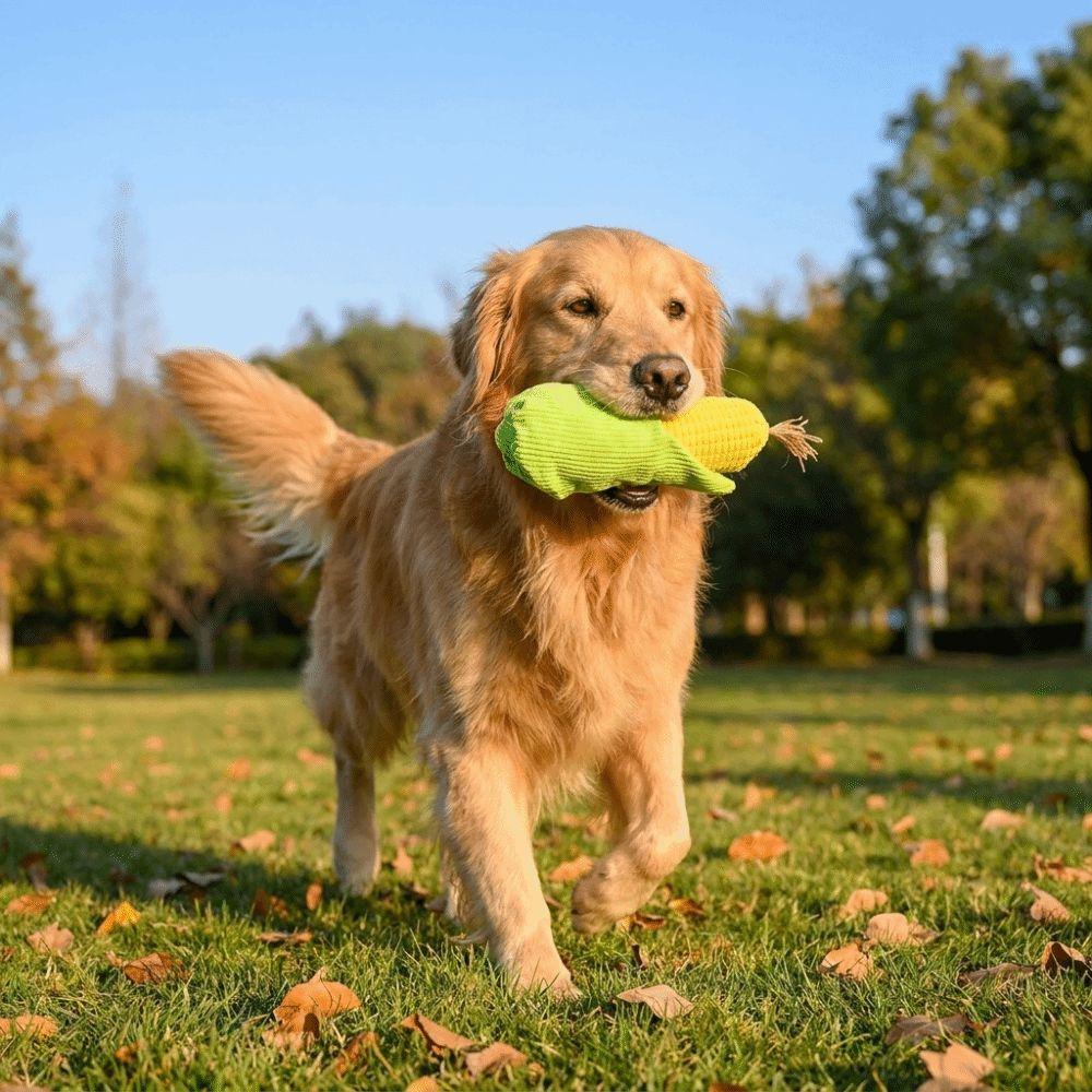 Sounding Dog Plush Chew Toy Simulated Corn Squeaky Puppy Toy Chew Squeak Toy  Training Toy