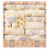 Benjiewell Newborn Baby Clothing Gift Set