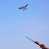 Parrot Eagle Swallow Airplane Butterfly Large Eagle Kites Fishing Rod Kite  Garden Outdoor Sports