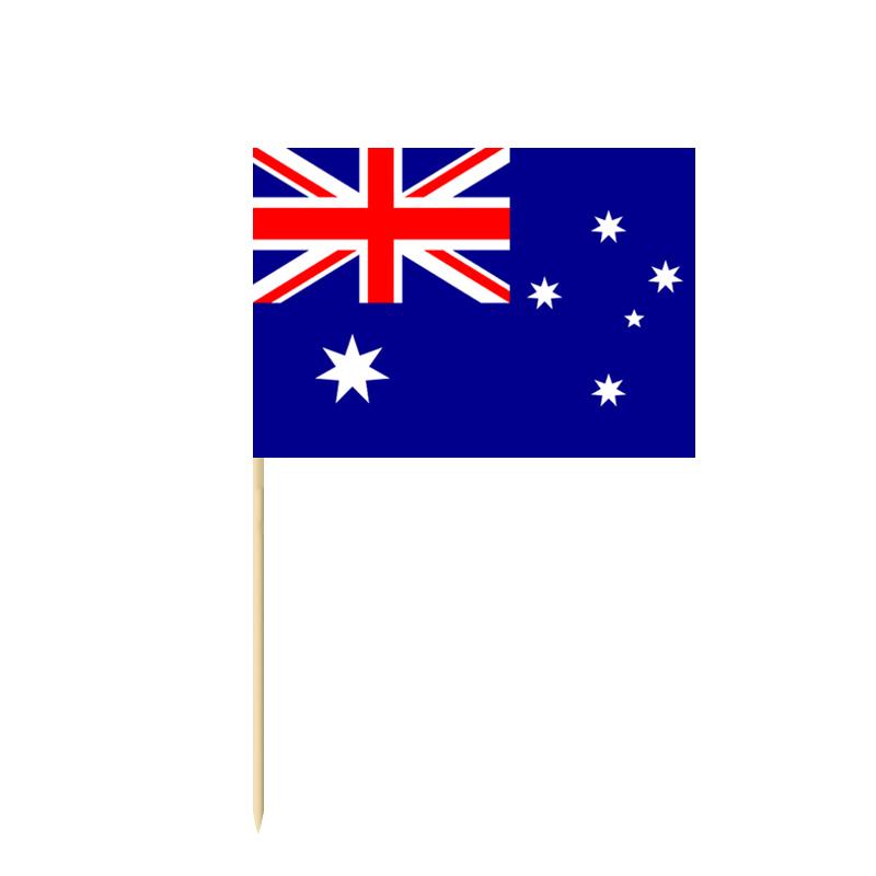 100 st Nationella flaggor Väljer olika länder Konst tandpetare Festpinnar Cupcake/kaka/paj/frukt/glass Topper dekoration