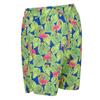Regatta Mens Hamza Flamingo Swim Shorts