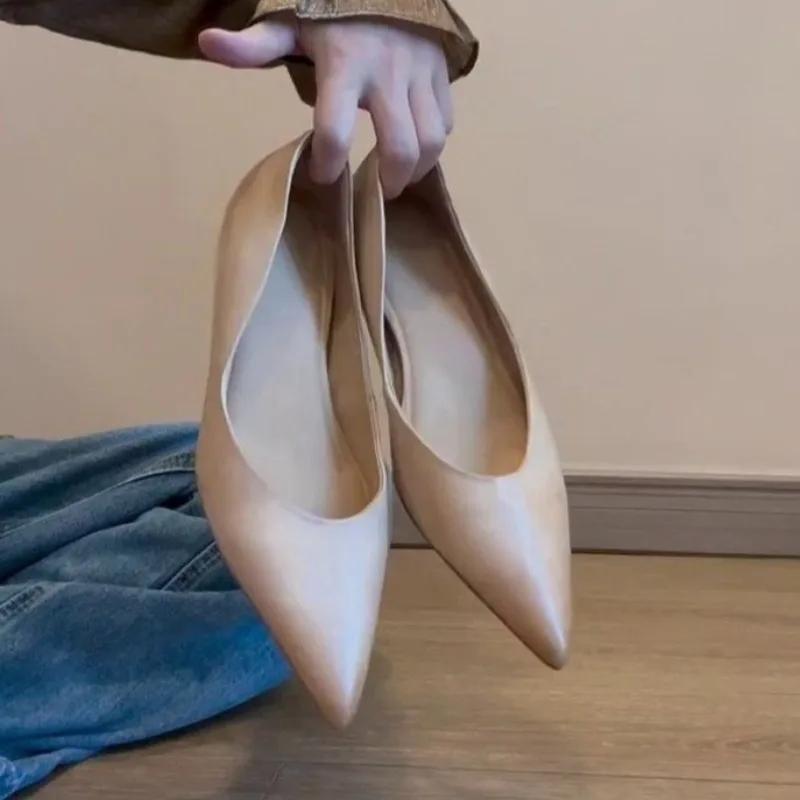 Fashion Designer 2025 Summer New Women Pointed Toe Shoes Sexy Heeled Sandals Party Brand Woman Dress Shallow Loafers Mujer Sandalias