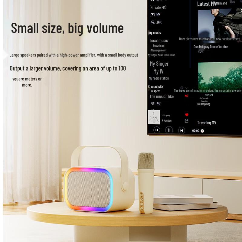 Philips Portable Bluetooth Karaoke Speaker and Microphone Set (CN version)