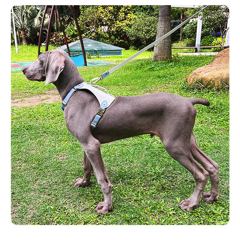 Luxury Leather Pet Harness & Leash Set for Medium & Large Dogs