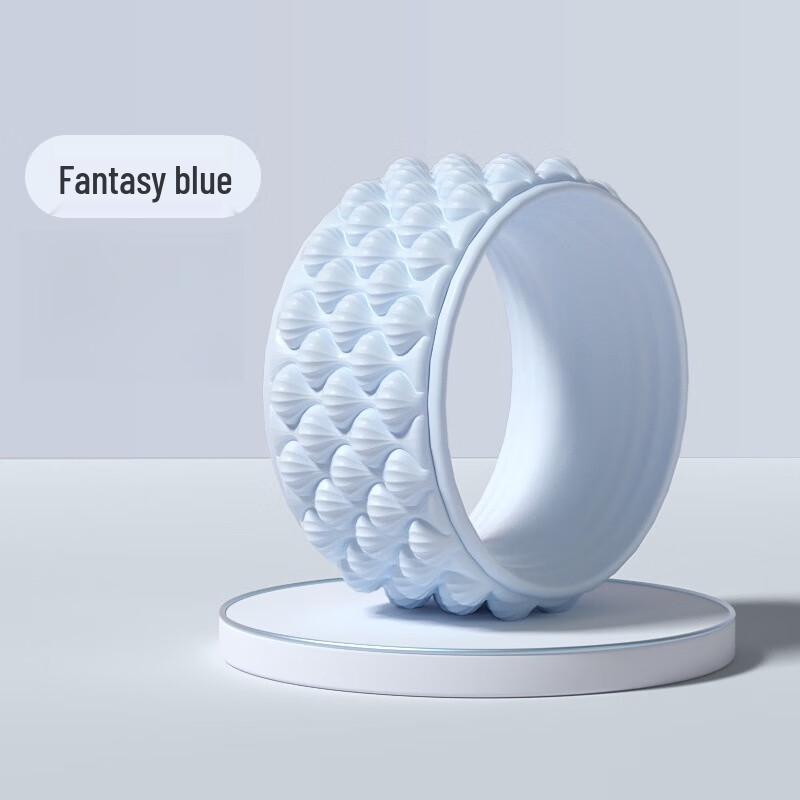 WEZHO Yoga Wheel for Backbends and Pilates