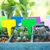 100 Stück Zufällige Kunststoff-Pflanzenschilder Wasserdichte Baumschul-T-Typ-Gartenschilder Pflanzenmarkierer