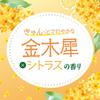 Powder First Love Sweet Osmanthus Scent No-makeup