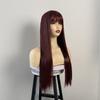 Burgundy Long Straight Fashion Wig with Simulated Scalp for Women