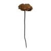 Picchetto da Giardino in Ferro per Fiori per Decorazione Esterna Resistente alla Ruggine e Durevole con Design Elegante Adatto per Giardino Cortile Fontana