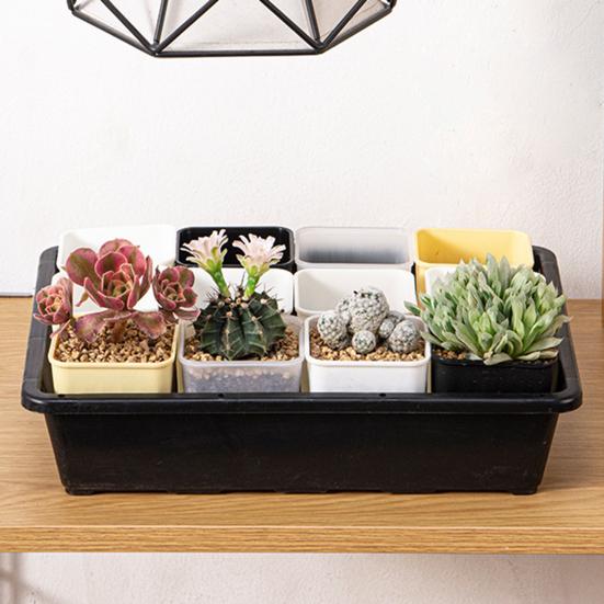 

Надежный нижний дренаж Посадка экологически чистой суккулентной зелени Цветочный горшок Балконный аксессуар