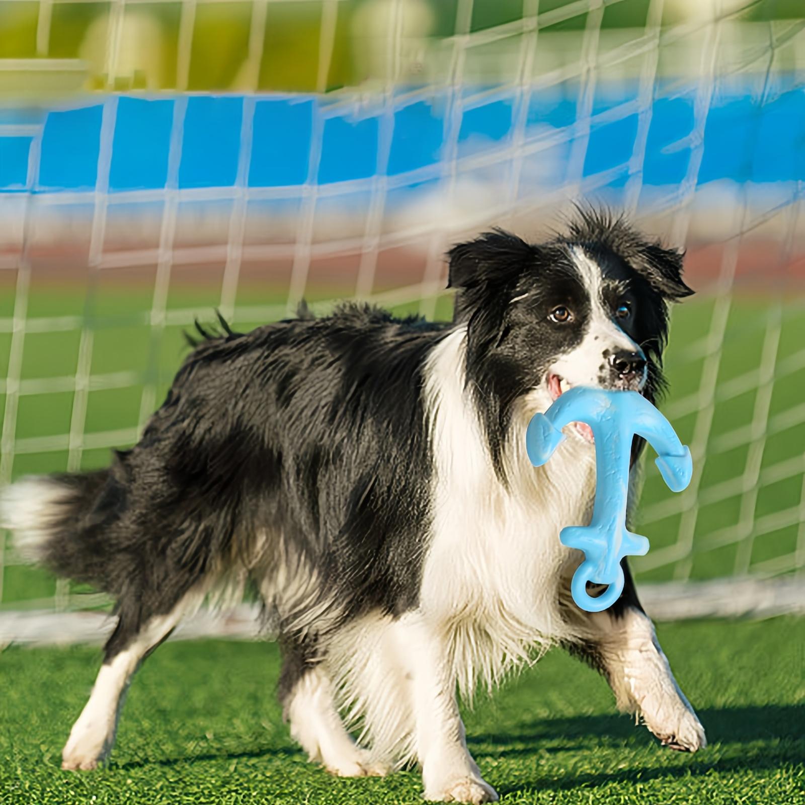 

Dog Toys For Aggressive Chewers Dog Chew Toy Tough Dog Toys To Keep Them Busy Teething Chew Toys & Health For Large Medium Small Breeds (Blue) One Size