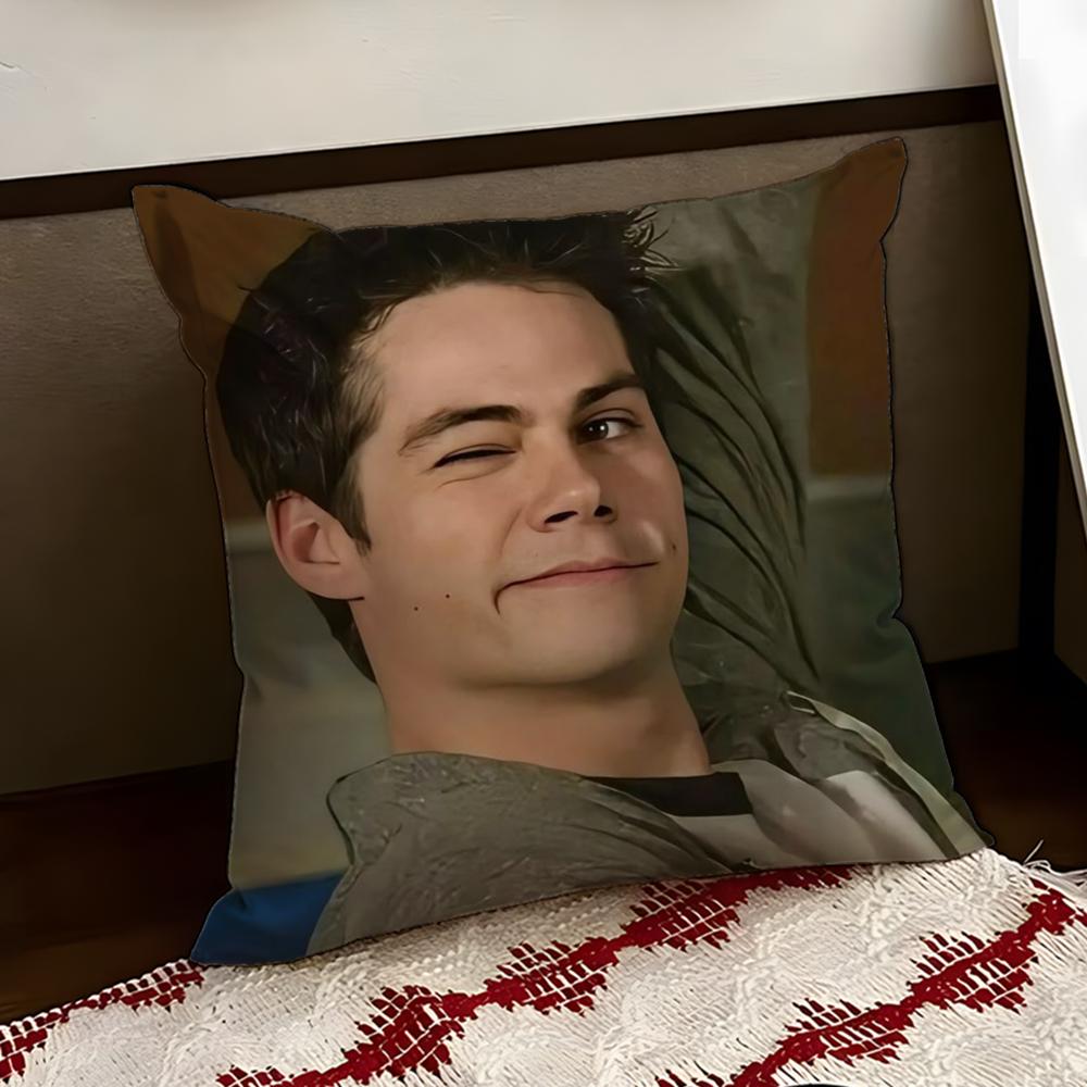 DDylan OBrienS Cushion Cover Reversible Soft Durable Pillow Cover Home  Car MultiScene Use for Daily Comfort