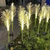 LED Solar Garden Reed Lamp Outdoor Waterproof Lawn Light Yard Christmas Decoration Path Lighting Decor Solar Power Light
