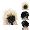 Adorable Black Color Pet Wig With Fun Afro Style For Halloween Parties And Festivals