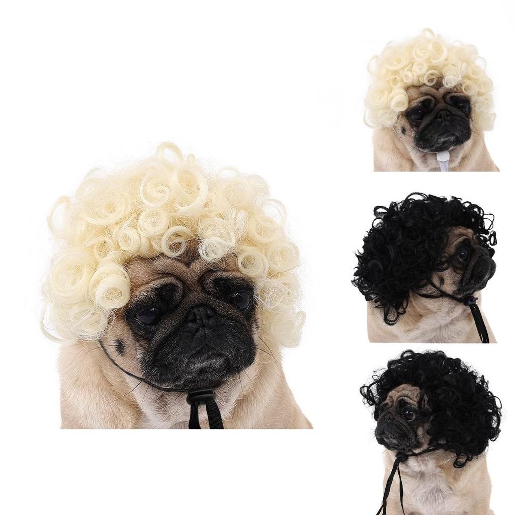 Adorable Black Color Pet Wig With Fun Afro Style For Halloween Parties And Festivals