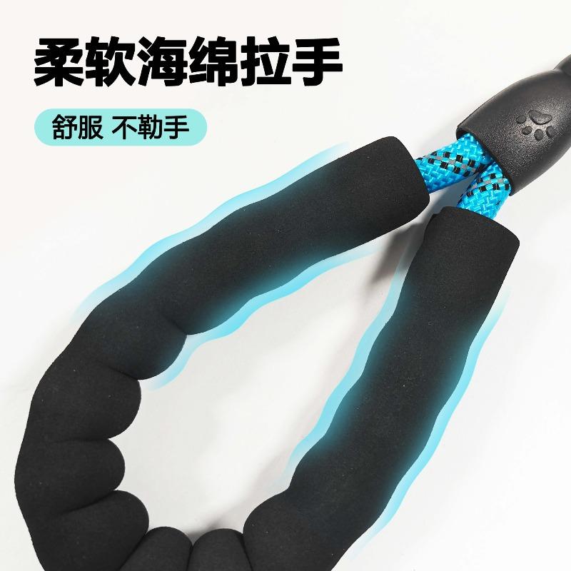 Dog Leash, Night-time Outdoor Glowing Dog Walking Leash, Explosion-proof, Shock-resistant, Wear-resistant Nylon Dog Leash
