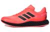 adidas 4D Run 1.0 'Signal Pink' FV6956