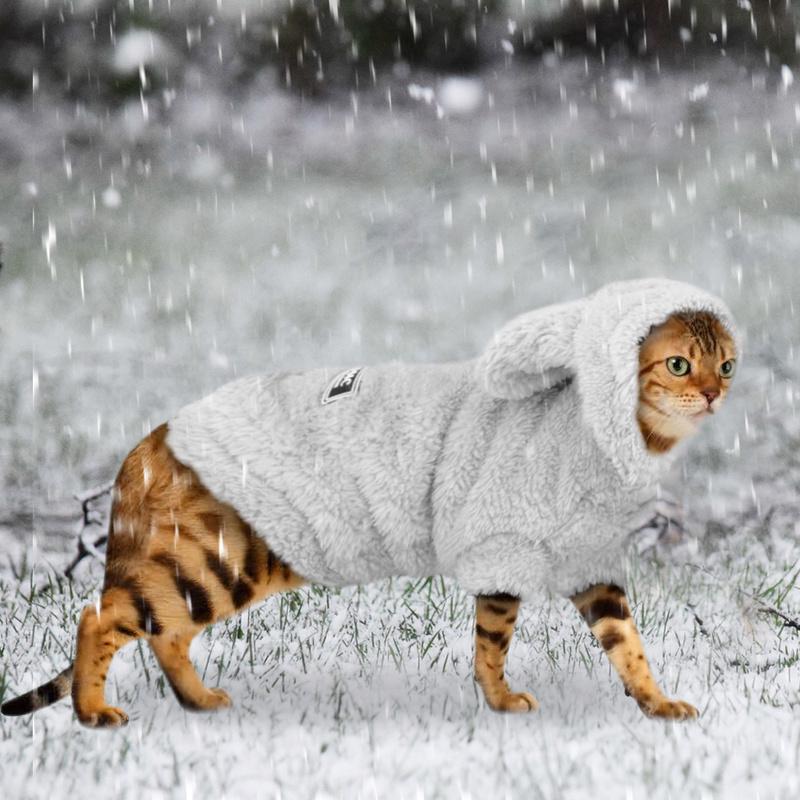 cat winter jacket