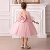 International Little Girl's Party & Performance Princess Dress