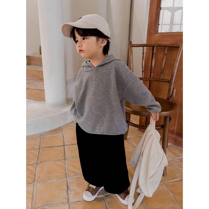 Children's Clothing Boys' Solid Hoodie Pullover Autumn Children's Korean Series Hood Top Children's Spring and Autumn Long sleeve Top