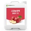 Apple Concentrate 70 Brix 200g Sample 1 Pcs