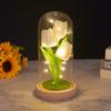 Simulation tulip glass cover ornament creative night light Mother's Day Valentine's Day gift for girlfriend