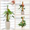 1Pcs Coconut Shell Moss Palm Cane Coir Totem Poles Gardening Coconut Rod Bendable Plant Climbing Frame Stretch 60/110cm