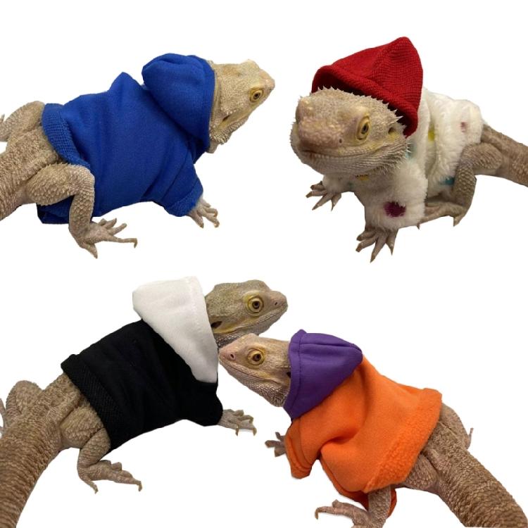 Bearded Dragon Warm Coat Soft Touching Hoodies for Reptiles Geckos Amphibians