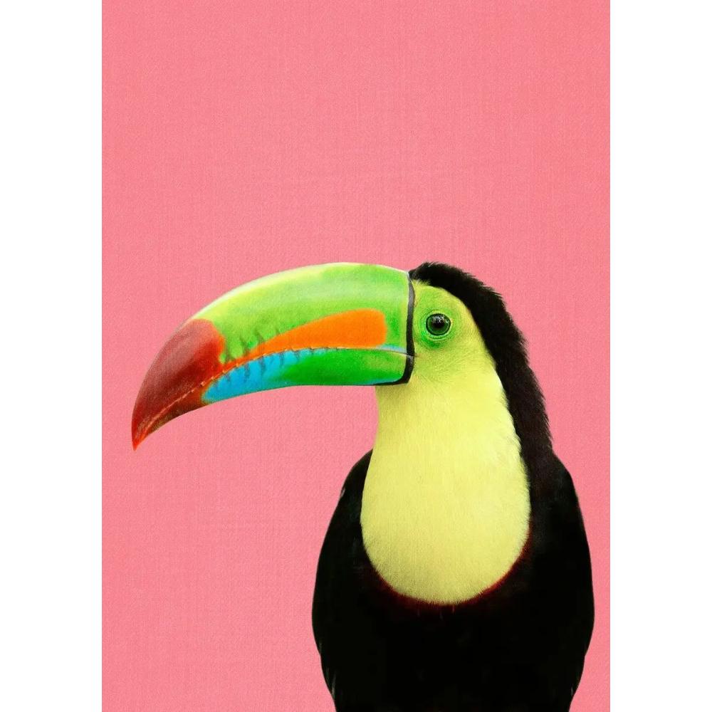 Tropical Plants Poster and Print Toucan Bird Flamingo Parrot Pineapple Canvas Painting Nordic Wall Art Picture Home Decor Cuadro