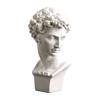 David Statue Nachbildung Griechische Büste Ornamente, Harz Skulptur für Kunststudio Dekor Und Übungswerkzeug Zeichenübung, Klassische Apollo Klavier Mädchen