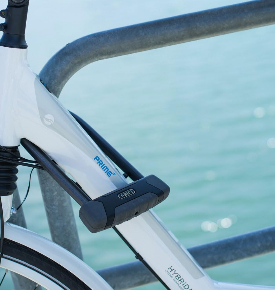 ABUS Granit 540 300mm X-Plus [item]