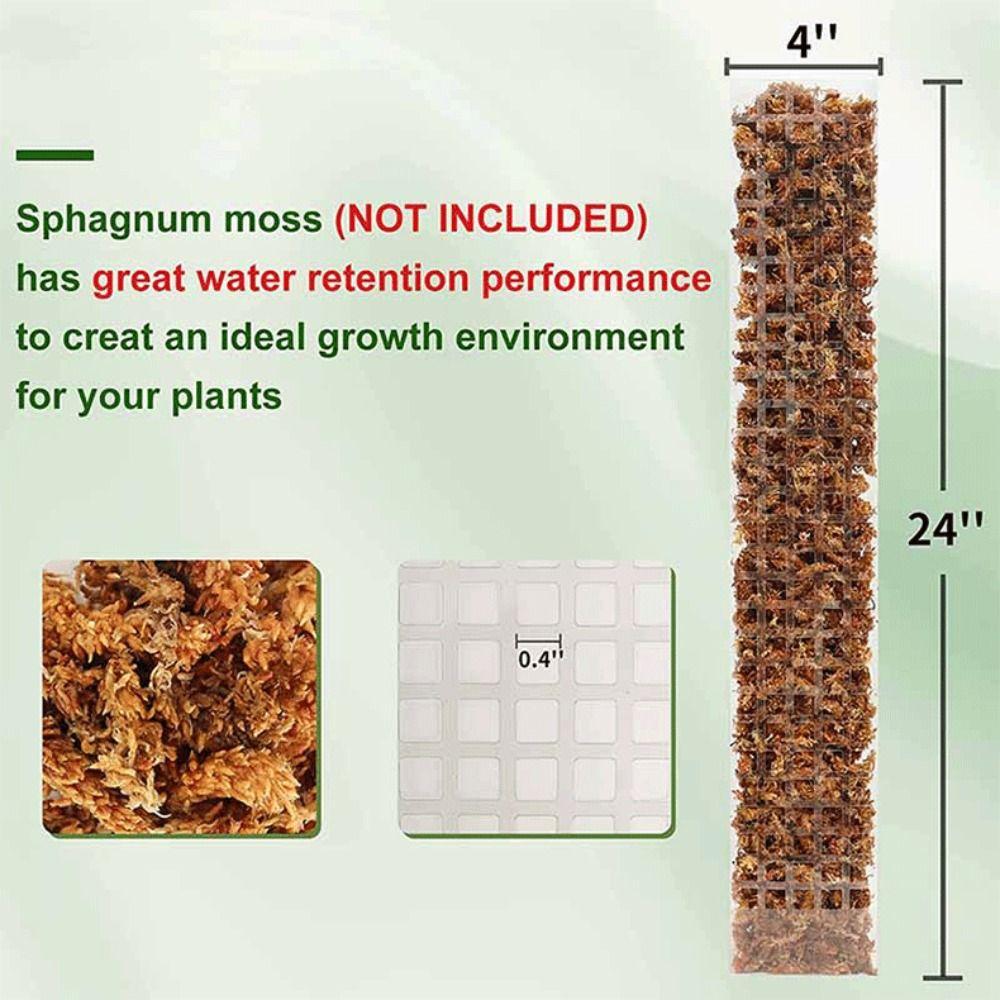 Weather Resistant Moss Pole Transparent Plant Support Plant Pole Stick Water Moss Column  Garden