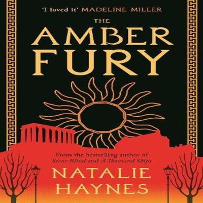 The Amber Fury by Natalie Writer Broadcaster Haynes Paperback Book 9781805461005
