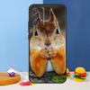 Squirrel Case For Samsung A54 A34 A14 A13 A23 A33 A53 A73 A51 A71 A72 A12 A22 A32 A42 A52 Back Cover