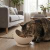 Neck Protection Silicone Pet Bowl Non-Slip Elevated Feeder Stable Dog Food Bowl  Pet Dining