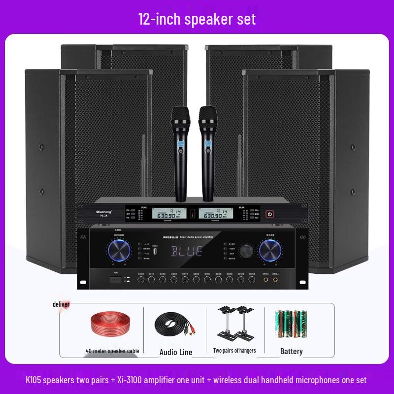 QIASHENG Professional Conference Room & Stage Audio System CN plug (adapter included)