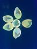 Silicone Fluorescent Coral Bubbles for Fish Tank Landscaping Decor
