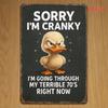 Metal Wall Art Duck Retro Sign for Bar Vintage Sorry I'm Cranky Plate 12x30 cm