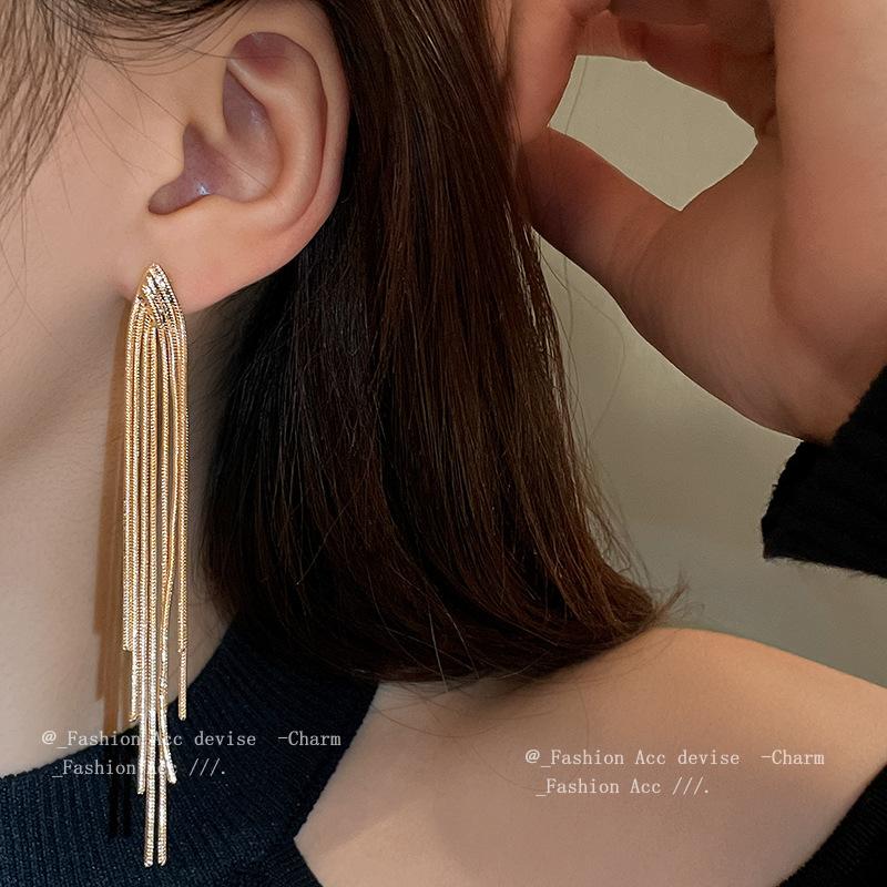 Silver Needle Metal Fringe Geometric Earrings European and American Niche Cold Wind Earrings Fashion Advanced Versatile Earrings